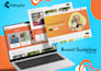 premium framer website and landing page design and redesign